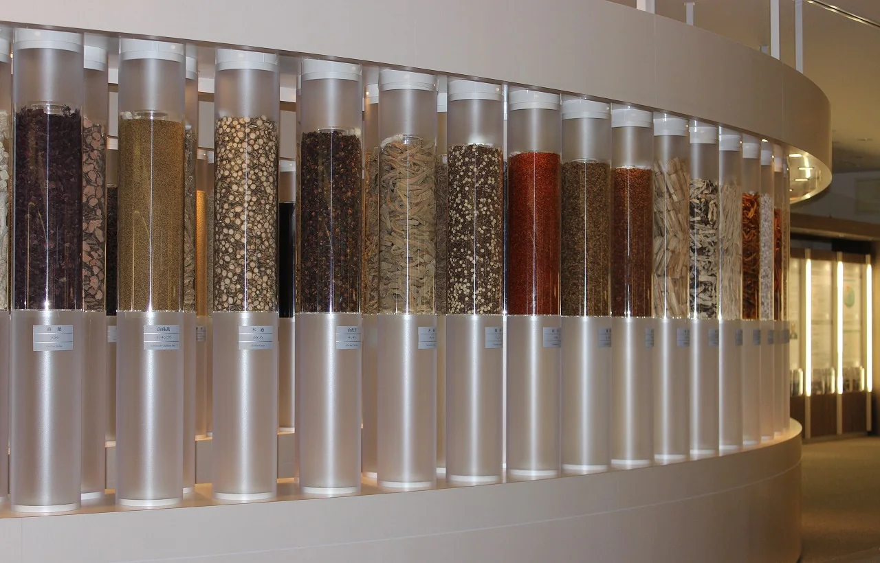 Dried roots, leaves and seeds displayed in tall glass containers